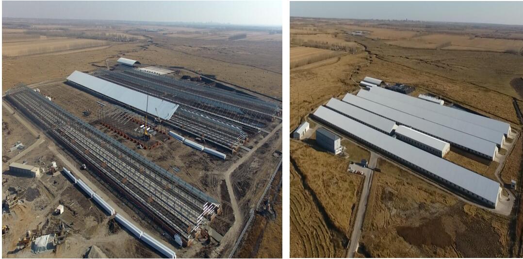 腾博汇游戏官网·(中国)专业服务,诚信为本