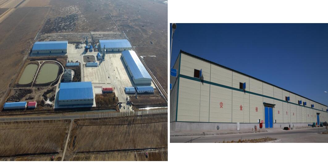 腾博汇游戏官网·(中国)专业服务,诚信为本